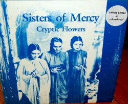 Cryptic Flowers