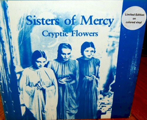 Cryptic Flowers