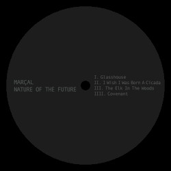 Nature Of The Future