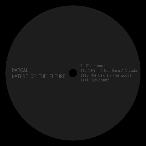 Nature Of The Future