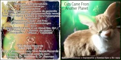 Cats Came From Another Planet
