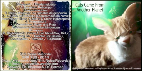 Cats Came From Another Planet