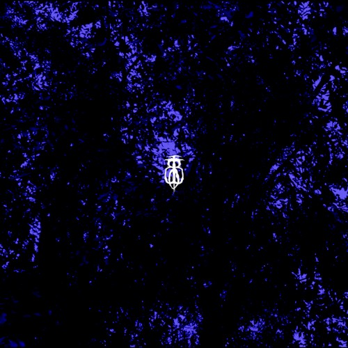 In the Blue Trees