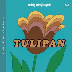 Tulipan