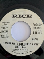 Looking for a Cold Lonely Winter