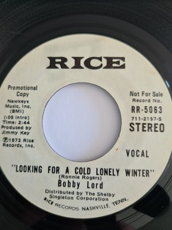 Looking for a Cold Lonely Winter