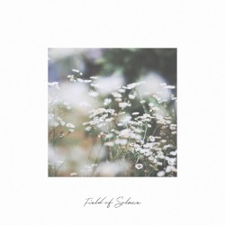 Field of Solace