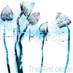 The First Steps