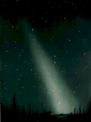 Observations and Entropy