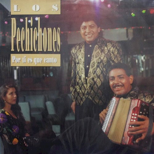 Por ti es que canto