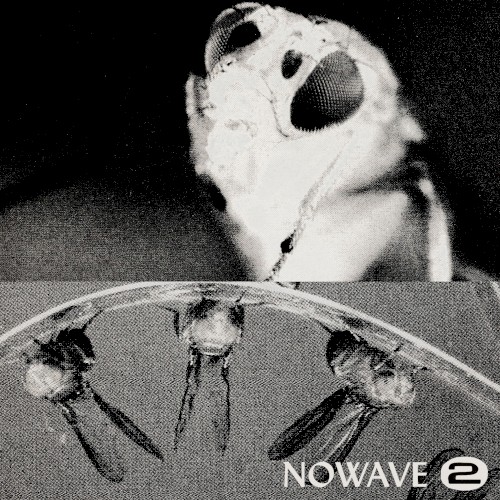 MISSING YOU / NEVERMIND
