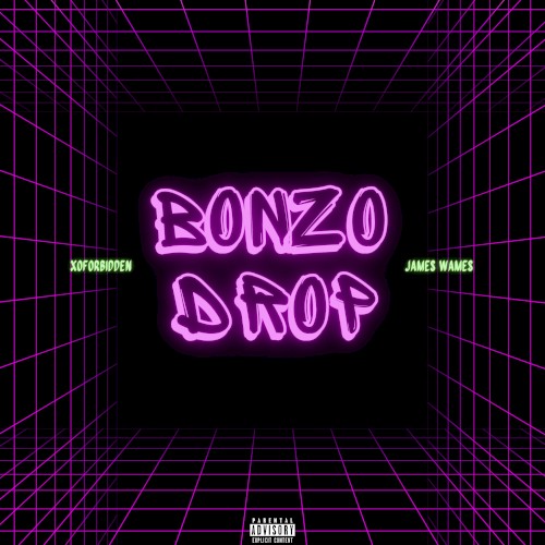 BONZO DROP