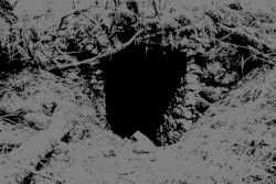 Humid Cave