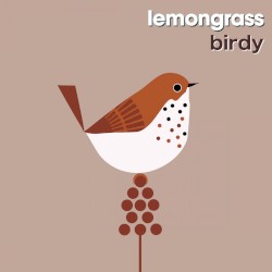 Birdy