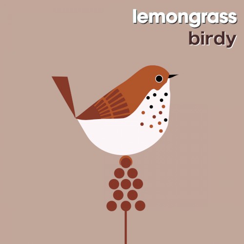 Birdy