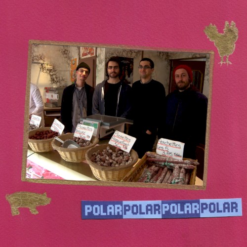 Polar Polar Polar Polar