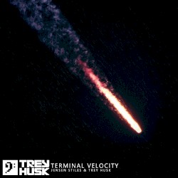 Terminal Velocity