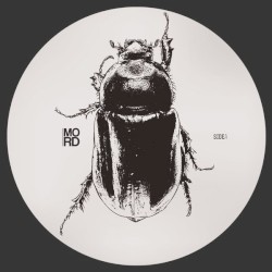 Anomalies EP
