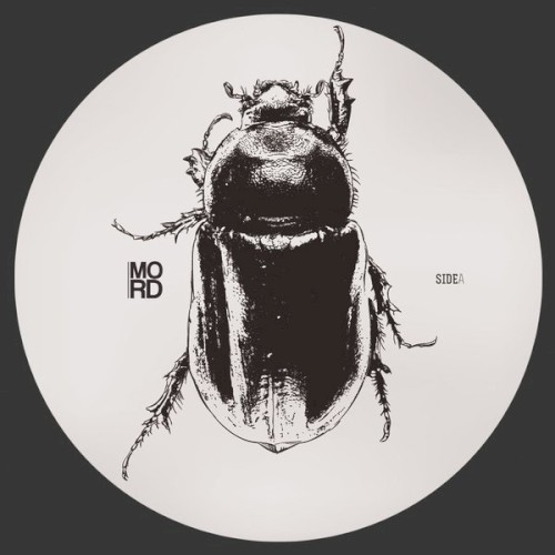 Anomalies EP