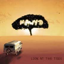 Look at the Tree