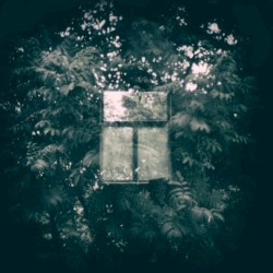 Time and Silence