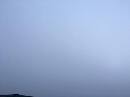 冬なしの白 white without winter