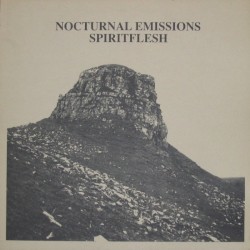 Spiritflesh