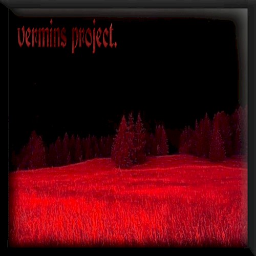 Vermins Project