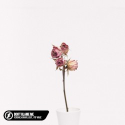 Don’t Blame Me (acoustic)