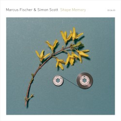 Shape Memory