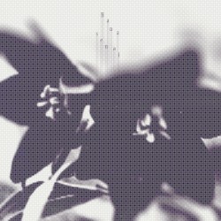 ハナセナイ