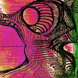 12 songs for 3 days in the czech republic