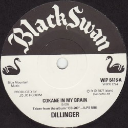 Cokane in My Brain