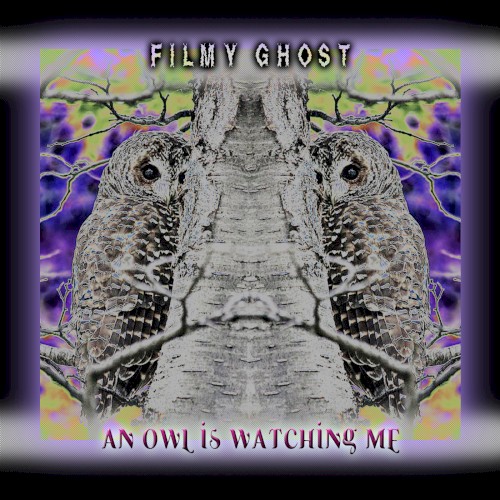 An Owl Is Watching Me