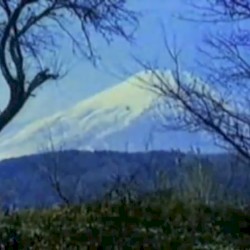 日光