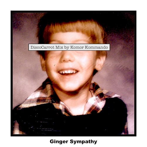 Ginger Sympathy (DiscoCarrot mix)