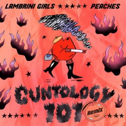 Cuntology 101 (Peaches remix)