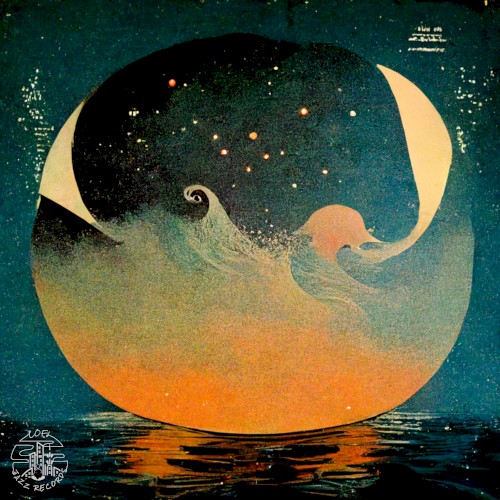Moonflowers