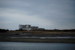seashoreshesoar