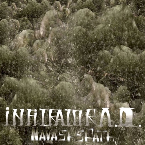 Navash's Path