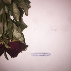No Love without Suffering, No Rose without Thorns