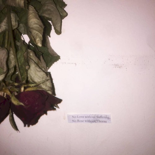 No Love without Suffering, No Rose without Thorns