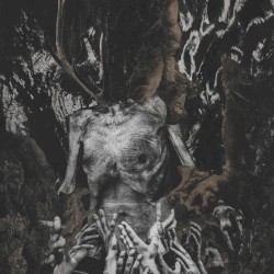 Enclave II-II