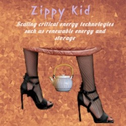 Scaling Critical Energy Technologies Such as Renewable Energy and Storage