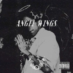 angel wings