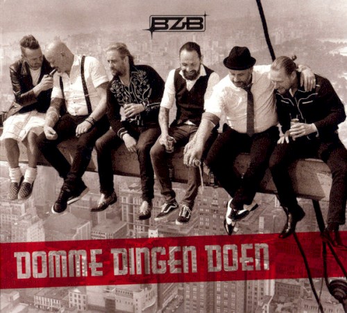 Domme dingen doen