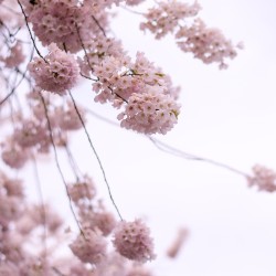 Spring Equinox EP