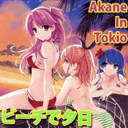 ビーチで夕日