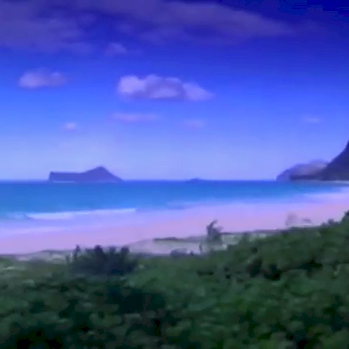 Ｏｃｅａｎ Ｄｒｅａｍｓ