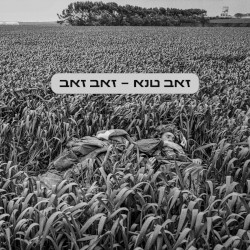 זאב זאב